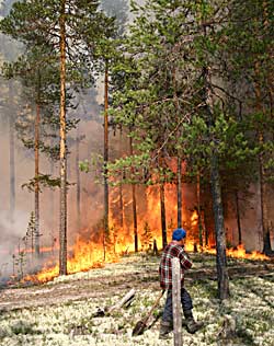    ,  1200  ,         .     .        .      .