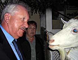 :     ,    ƻ          . ,  ƻ          .