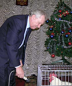 Во время предновогоднего приема в Желтом доме для руководителей и аккредитованных журналистов СМИ республики Главе Коми Владимиру Торлопову подарили живой символ 2005 года. Глава попробовал взять интервью у петуха.