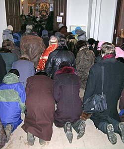               4   -    .    ,   ,    .