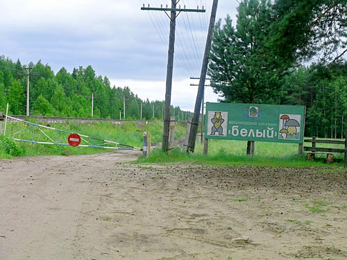 Фото Бориса Суранова.