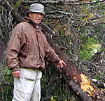 Николай Федоров на месте незаконных вырубок сейсмопрофилей. Фото предоставлено Комитетом спасения Печоры.